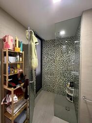 Sant Ritz (D13), Condominium #559245461